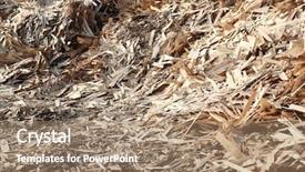  Presentation with waste management - Colorful presentation enhanced with huge pile of wood waste backdrop and a coral colored foreground