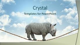  Presentation with walk - Amazing PPT theme having huge rhino walk on rope backdrop and a light blue colored foreground