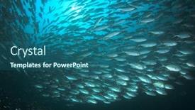  Presentation with tuna fish - Amazing slide deck having huge-school-of-tuna-fish backdrop and a ocean colored foreground