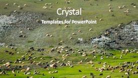  Presentation with green mountains - Theme featuring huge sheep and goat herd background and a violet colored foreground