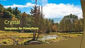  Presentation with river journey - Slides having huge-wild-boar-graze background and a tawny brown colored foreground