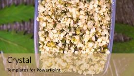  Presentation with nutritional value - Beautiful slides featuring hulled edible hemp seeds regard backdrop and a coral colored foreground