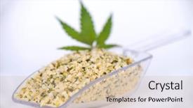  Presentation with nutritional value - Slides having hulled edible hemp seeds regard background and a soft green colored foreground