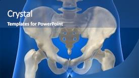  Presentation with hip - Audience pleasing slide deck consisting of human anatomy - hip backdrop and a ocean colored foreground