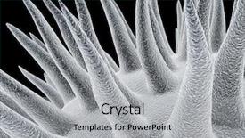  Presentation with human anatomy - Presentation with human anatomy - microbe 2 background and a light gray colored foreground