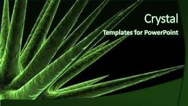  Presentation with human anatomy - Amazing PPT layouts having human anatomy - virus backdrop and a wine colored foreground