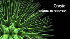  Presentation with virus - Presentation design enhanced with human anatomy - virus background and a black colored foreground