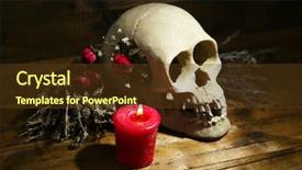  Presentation with anatomy - Beautiful slide set featuring human animal anatomy - composition with skull dried herbs backdrop and a tawny brown colored foreground