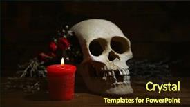  Presentation with human anatomy - Colorful presentation enhanced with human animal anatomy - composition with skull dried herbs backdrop and a wine colored foreground