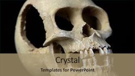  Presentation with human anatomy - Colorful presentation theme enhanced with human animal anatomy - skull isolated on black backdrop and a coral colored foreground