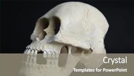  Presentation with skull - Beautiful presentation design featuring human animal anatomy - skull isolated on black backdrop and a  colored foreground
