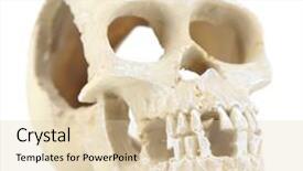  Presentation with human anatomy - Colorful presentation theme enhanced with human animal anatomy - skull isolated on white backdrop and a lemonade colored foreground