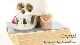  Presentation with old anatomy - Beautiful slide deck featuring human animal anatomy - skull with dried roses backdrop and a  colored foreground