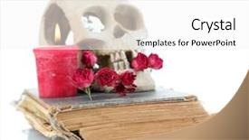  Presentation with old anatomy - Presentation consisting of human animal anatomy - skull with dried roses background and a white colored foreground