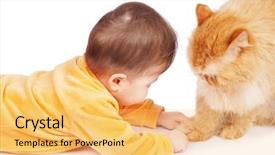  Presentation with baby jesus christmas rustic isolated - Colorful PPT theme enhanced with human animals - baby and cat isolated backdrop and a  colored foreground