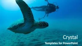  Presentation with underwater - Presentation theme having human animals - underwater photographer taking photo background and a ocean colored foreground