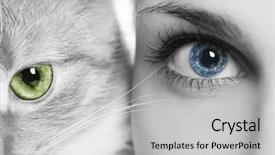  Presentation with blue eyes - Presentation theme enhanced with human animals - woman with blue eyes background and a light gray colored foreground