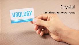  Presentation with human bladder - Cool new slide deck with human bladder - close up view of male backdrop and a lemonade colored foreground