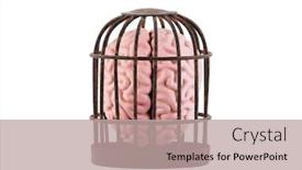  Presentation with human mind - Slide deck consisting of human-brain-trapped-in-old background and a mint green colored foreground