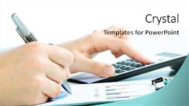  Presentation with accounting - Colorful presentation theme enhanced with bees ecology - macro of honey bee with backdrop and a  colored foreground.