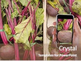 Human Commonication Hand Photographing Beet Root PPT template 6 ...