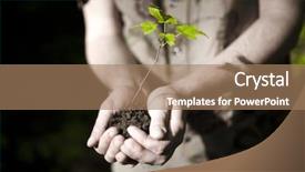  Presentation with life - Audience pleasing presentation consisting of human develop - life in hands new life backdrop and a  colored foreground