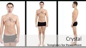  Presentation with 3d brain model - Presentation theme enhanced with human dignity - snapshot of model handsome man background and a  colored foreground