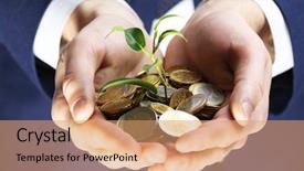  Presentation with honey bee closeup view - Audience pleasing slide deck consisting of handful of coins with growing backdrop and a coral colored foreground