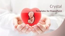  Presentation with hands heart - Beautiful slide set featuring human-embryo-in-red-heart backdrop and a sky blue colored foreground