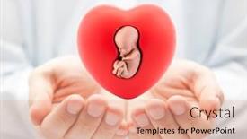  Presentation with embryo - Presentation design with human-embryo-in-red-heart background and a coral colored foreground