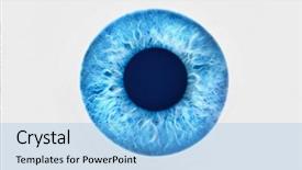  Presentation with human eye - Amazing presentation theme having human eye - closeup of blue eyeball backdrop and a light blue colored foreground