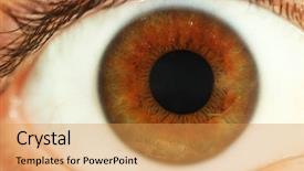  Presentation with human eye - Slides consisting of human eye close-up background and a yellow colored foreground