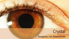  Presentation with human eye - PPT layouts having human eye close-up background and a yellow colored foreground