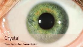  Presentation with human eye - Audience pleasing presentation consisting of human eye close-up backdrop and a lemonade colored foreground