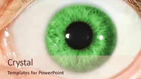  Presentation with human eye - PPT layouts with human eye close-up background and a lemonade colored foreground