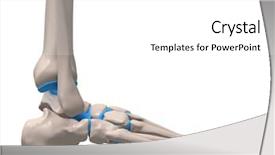  Presentation with human foot - PPT theme having leg anatomy - human foot background and a white colored foreground