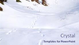 Presentation with footprints - PPT layouts having human footprints on ground covered with white snow background and a sky blue colored foreground