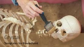  Presentation with fossil - Presentation design consisting of human fossil discovered concept woman background and a coral colored foreground