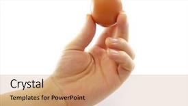  Presentation with hen - Cool new presentation with human hand holding hen egg backdrop and a  colored foreground