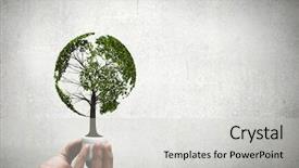  Presentation with light bulb - PPT layouts consisting of human hand holding light bulb background and a light gray colored foreground