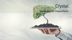  Presentation with green tree - Audience pleasing PPT theme consisting of human hand holding tablet pc backdrop and a mint green colored foreground