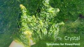  Presentation with human - Slides featuring human-hand-picking-a-lot background and a forest green colored foreground