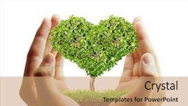  Presentation with hands holding a tree - Audience pleasing PPT theme consisting of human hands holding a tree backdrop and a coral colored foreground