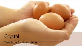  Presentation with human robot hands - PPT theme with human hands holding hen eggs background and a  colored foreground