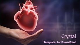  Presentation with human heart - Cool new PPT layouts with human hands holding human heart backdrop and a tawny brown colored foreground