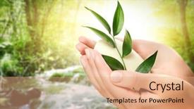  Presentation with holding hands - Slide set enhanced with human hands holding organic soap background and a coral colored foreground