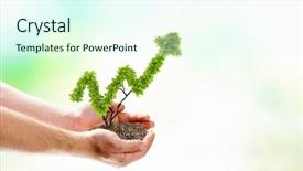  Presentation with growth human - Beautiful slide set featuring dumplings with meat and dough pelmeni russian ravioli backdrop and a mint green colored foreground