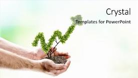  Presentation with hands planting a cabbage seedling - Cool new slide set with human hands holding plant backdrop and a cool aqua colored foreground