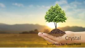 Presentation with earth day - Beautiful PPT layouts featuring human-hands-holding-sprout-young backdrop and a gold colored foreground