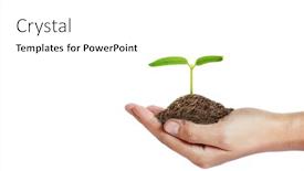  Presentation with young plant - Presentation design with human-hands-holding-sprout-young background and a white colored foreground